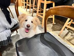 -Mammamia意大利餐厅(古北店)