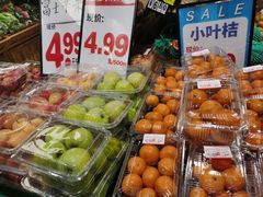 -京北大世界