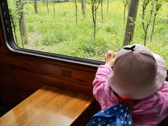 -合肥滨湖国家森林公园