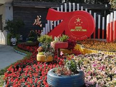-成飞公园