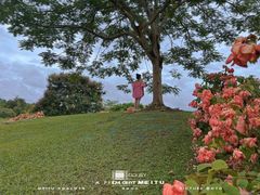 -中国科学院西双版纳热带植物园