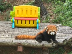 -大连森林动物园