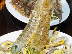 -凯华海鲜火锅·传承三十六年