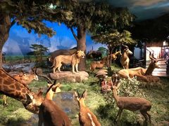 -国家自然博物馆