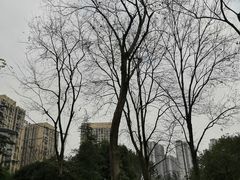 -龙头寺公园