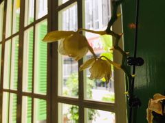 靠窗位-Carmen卡门西班牙餐厅