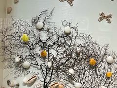 -青岛贝壳博物馆