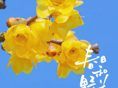 -陶然亭公园
