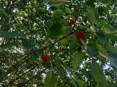 -汉长安城未央宫国家考古遗址公园