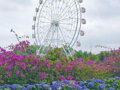 -观澜湖生态运动公社