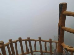 -紫鹊界梯田景区