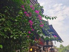 -磁器口古镇