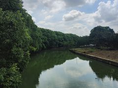 -同里国家湿地公园