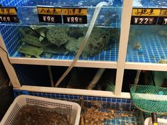 水产区-金龙·打边炉(南京西路店)