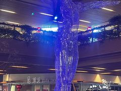 -瑞虹新天地月亮湾