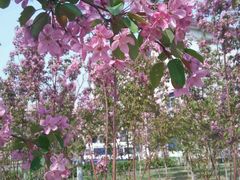 android_upload_pic-辽宁大学(崇山校区)