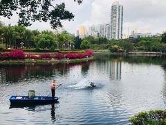 -深圳龙潭公园