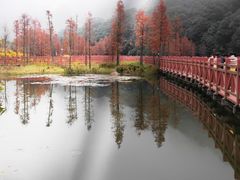 -广州市石门国家森林公园
