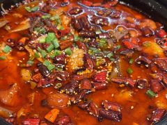 -大鸭梨烤鸭店(花园村店)