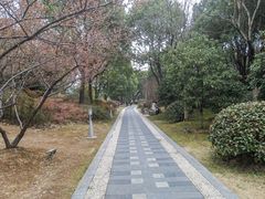 -石湖景区
