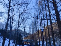 -白水寺森林公园