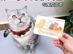 -爱佳宠物中心医院24H·CT·骨外科·猫专科(瑶海万达店)