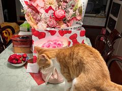 -新荟城(望京店)