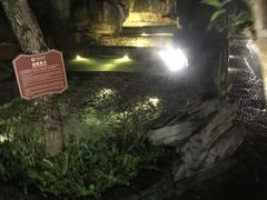 -海口观澜湖火山温泉谷