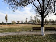 -汉长安城未央宫国家考古遗址公园