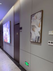 -深圳米兰柏羽医疗美容医院