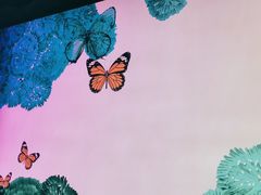 -蝴蝶里·粤菜·点心(滨江龙湖店)