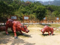 -牛鱼嘴原始生态风景区