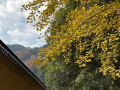 -阿育王寺