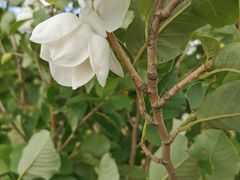 -长春公园(普阳街道)