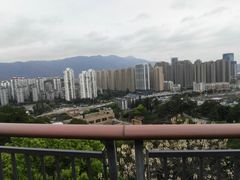 -金鸡山公园
