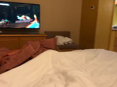 -维也纳国际酒店(北京首体店)