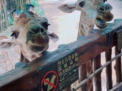 -长鹿旅游休博园