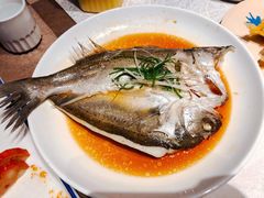 白蕉海鲈鱼-江南原著(中联广场店)