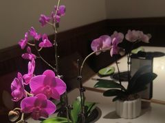 -一叶一世界•素食餐厅(环球中心店)