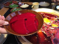 -王婆乔鲜鱼自助火锅(蜀汉路店)
