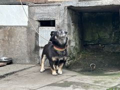 -两棵树馄饨店(渔梁住保小区店)