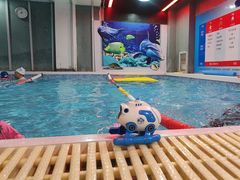 -小蓝鲸游泳培训基地(积水潭店)