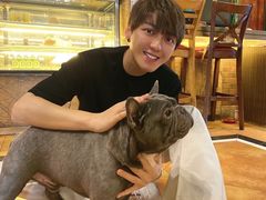 -more than meow吴止猫主题餐厅(承德 中船汇店)