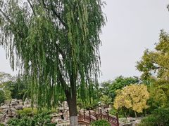 -莲花池公园