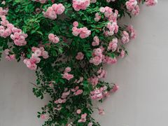 -颐和路民国时期公馆-风貌区