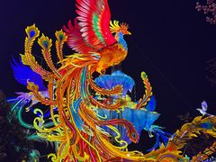 -厦门园林博览苑