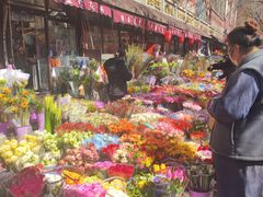 -宝鸡东道花鸟鱼虫市场(吉利花园商场店)