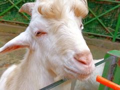 -杭州野生动物世界