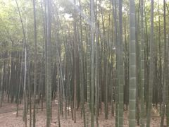 -宝岩生态观光园