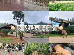 -广州长隆野生动物世界